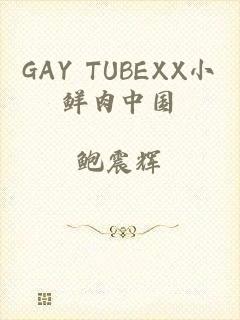 GAY TUBEXX小鲜肉中国